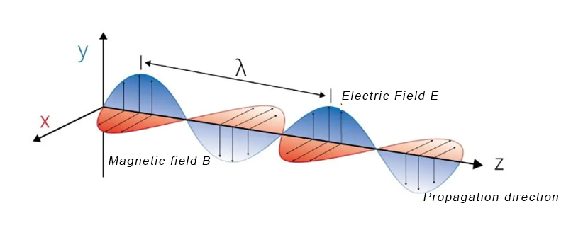 Optical Knowledge Sharing - Optical Polarization